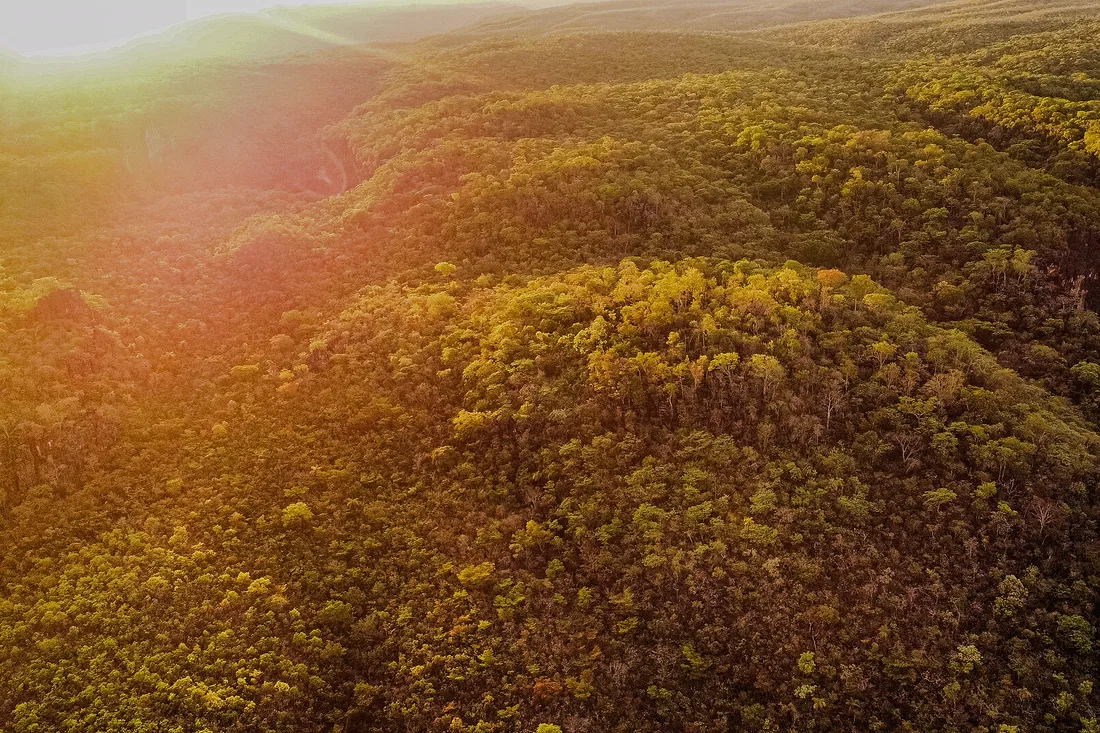 Vista aérea das serras e do cerrado da Chapada dos Veadeiros