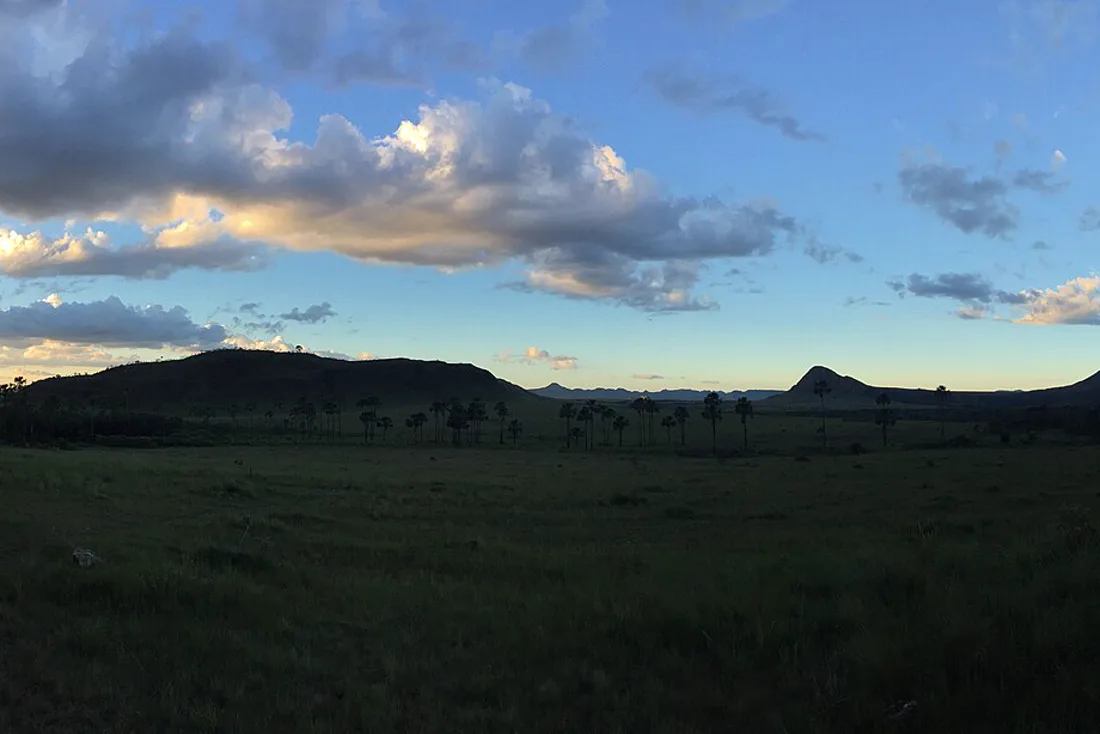 Buritis e as serras da Chapada dos Veadeiros ao entardecer, no Jardim de Maytrea