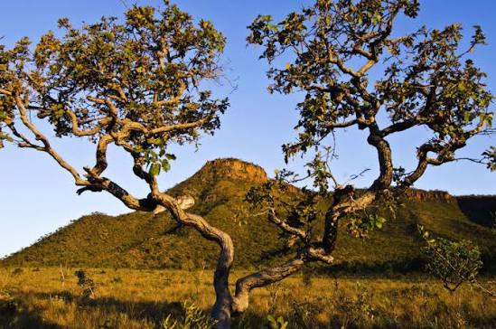 Turismo responsável: como preservar o Cerrado durante sua viagem
